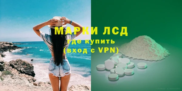 гашик Каменка