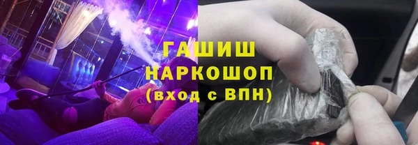 гашик Каменка