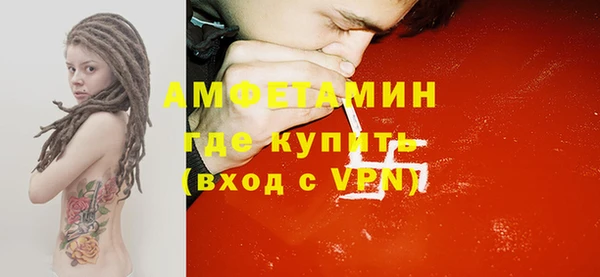 гашик Каменка