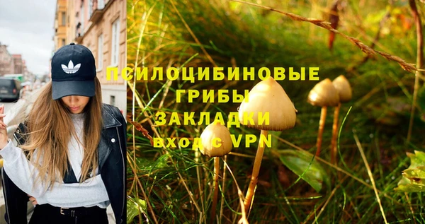 гашик Каменка