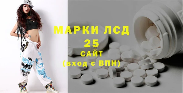 гашик Каменка