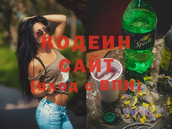 гашик Каменка