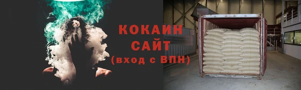 гашик Каменка