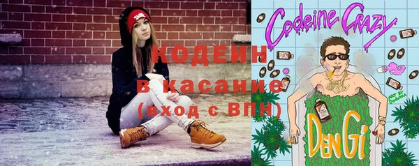 гашик Каменка