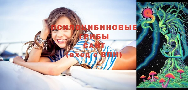 таблы Каменногорск