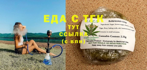 гашик Каменка