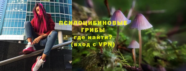 таблы Каменногорск