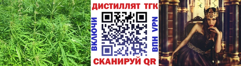 Купить где  Новомичуринск  ТГК жижа 