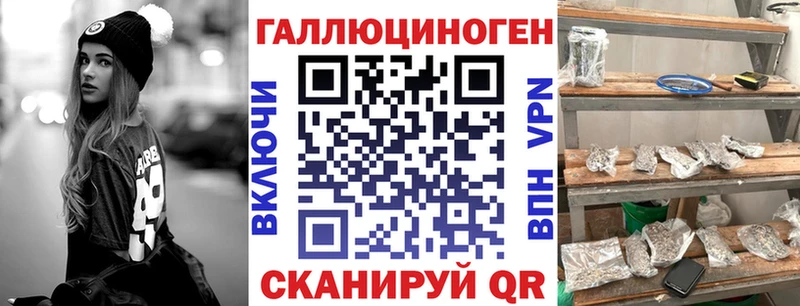 Галлюциногенные грибы GOLDEN TEACHER  Купить где  Новомичуринск 