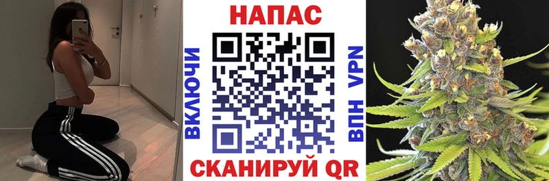 Купить  Новомичуринск  Конопля Amnesia 
